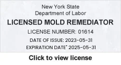 Licensed Mold Remediator
