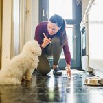 Removing Natural Stone Urine Stains and Odors