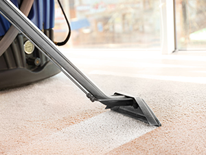 Carpet Cleaning Matters
