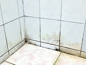 Moldy Shower Wall