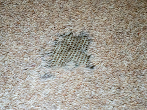 Wear hole in carpet