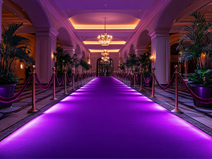 Carpet with lights