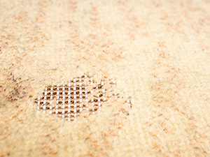 Worn Carpet