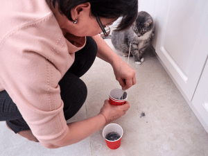 DIY